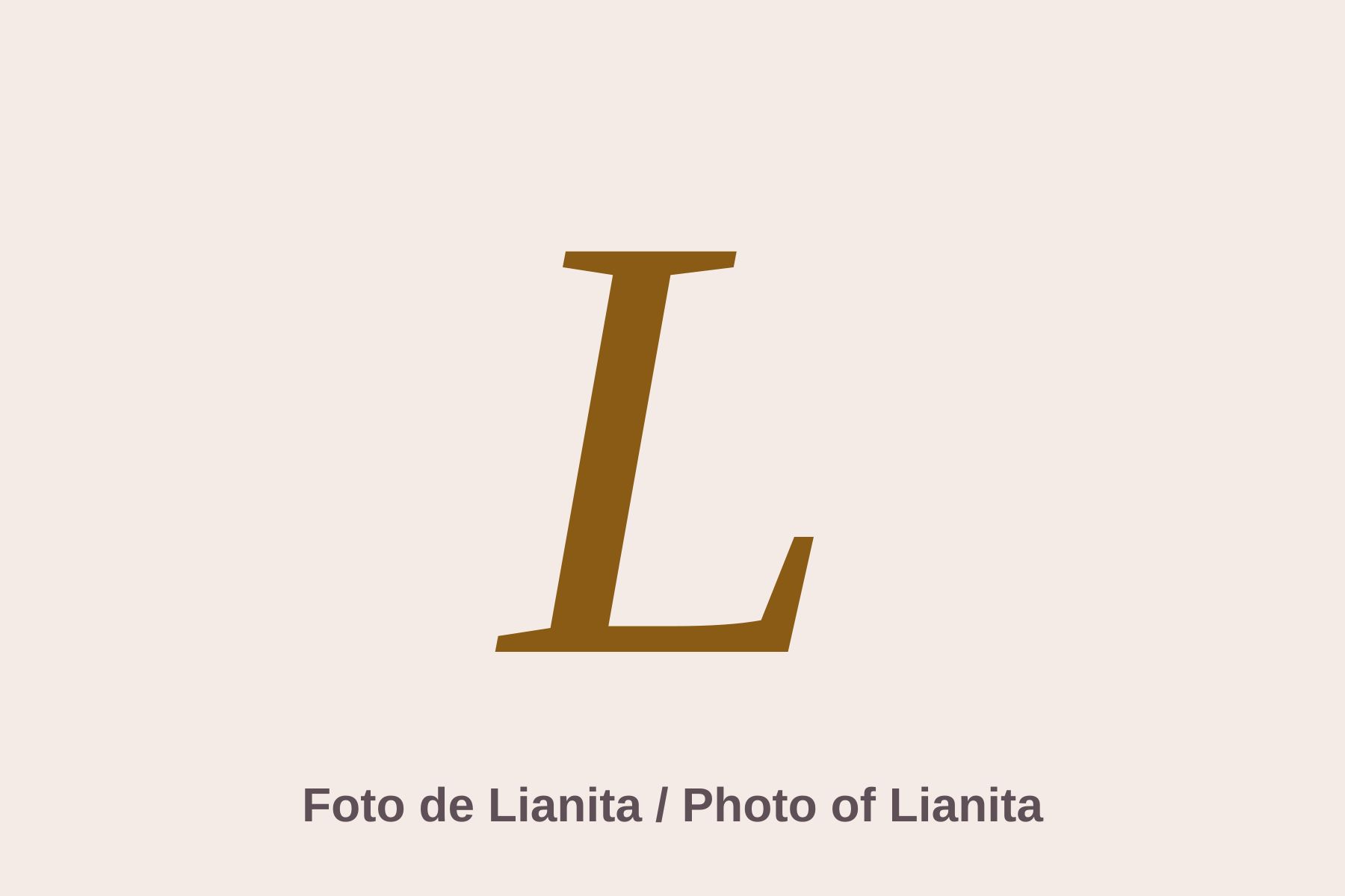 Placeholder for a photo of Lianita at work